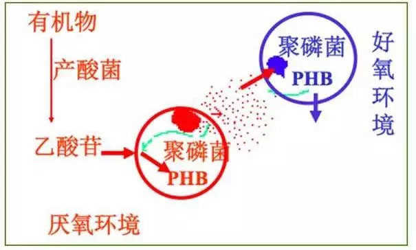 1550731126668354-1 (1).jpg